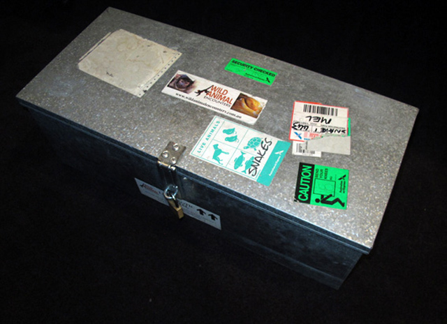 The_X_Factor_Australia_Bailey_snake_backstage_case